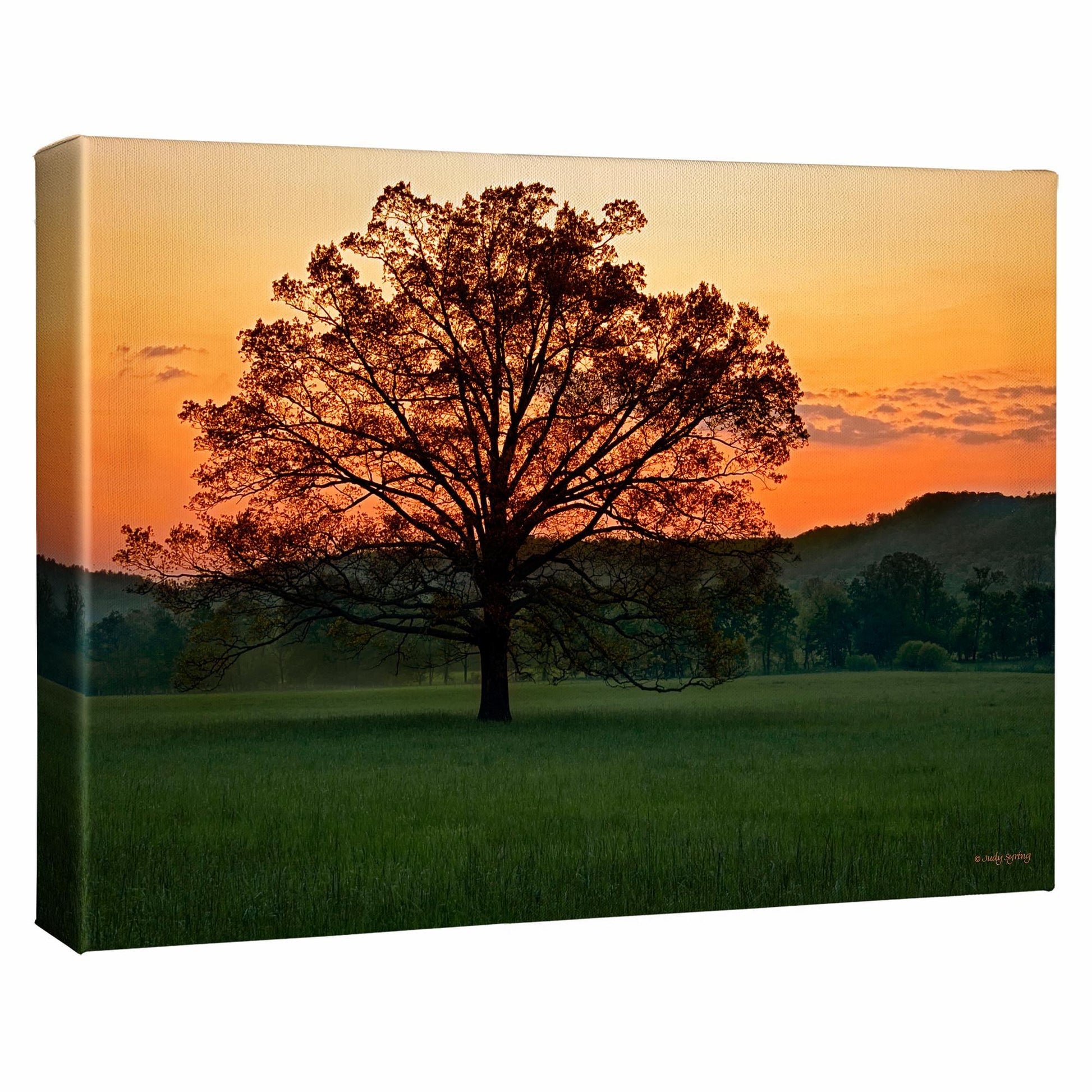 Twilight Delight Gallery Wrapped Canvas - Wild Wings
