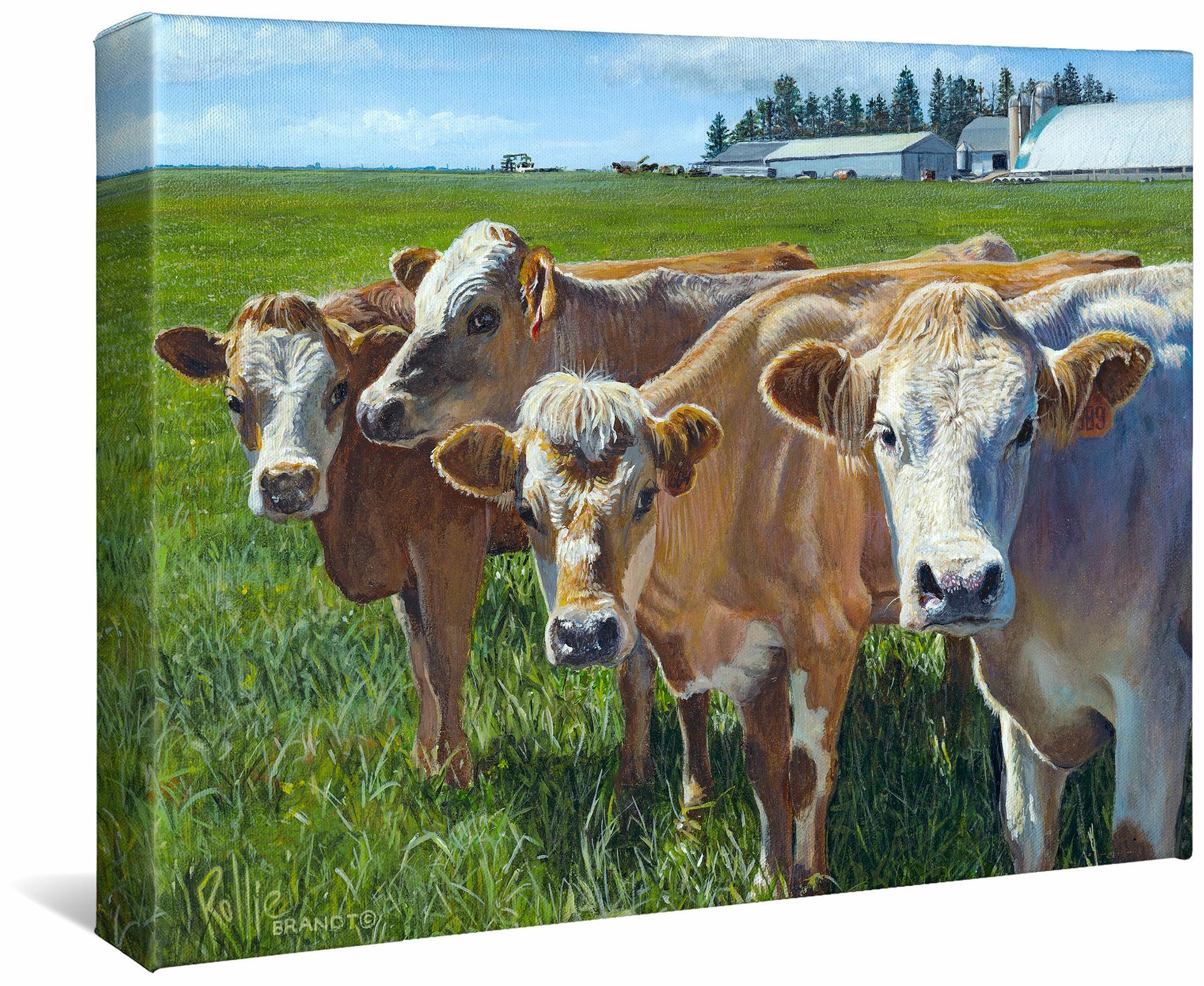 Udder Curiosity—Cows Gallery Wrapped Canvas - Wild Wings