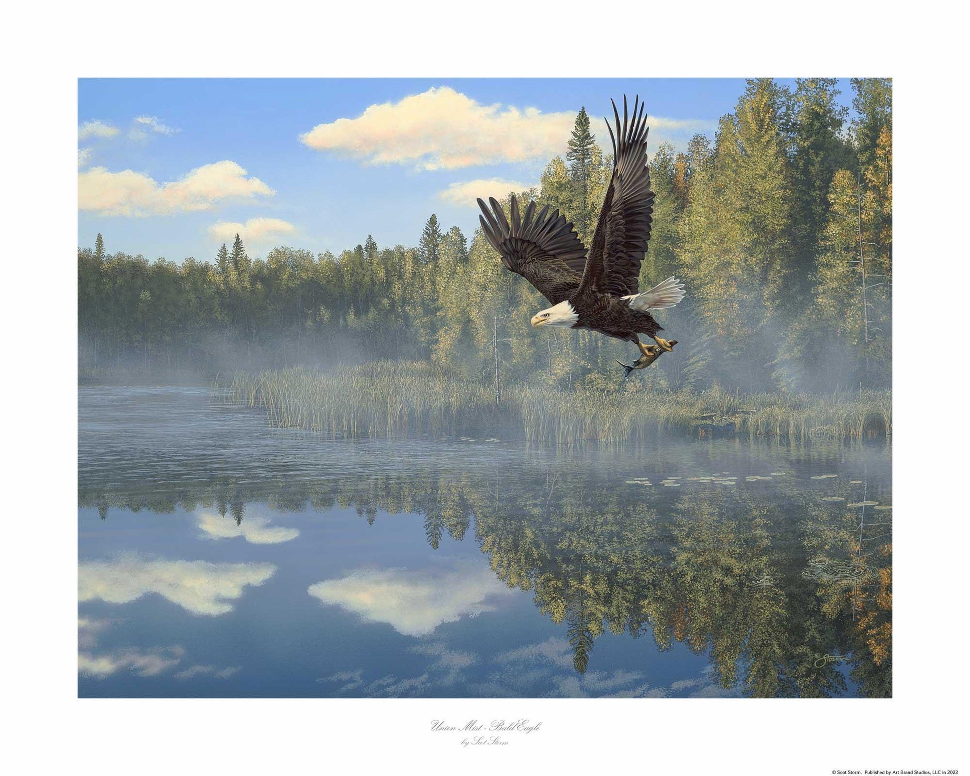 Union Mist Limited Edition Paper Print - Wild Wings