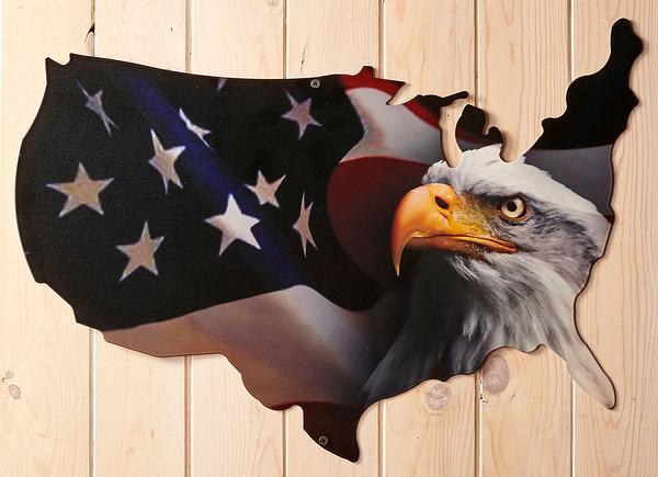 United States Metal Wall Art - Wild Wings