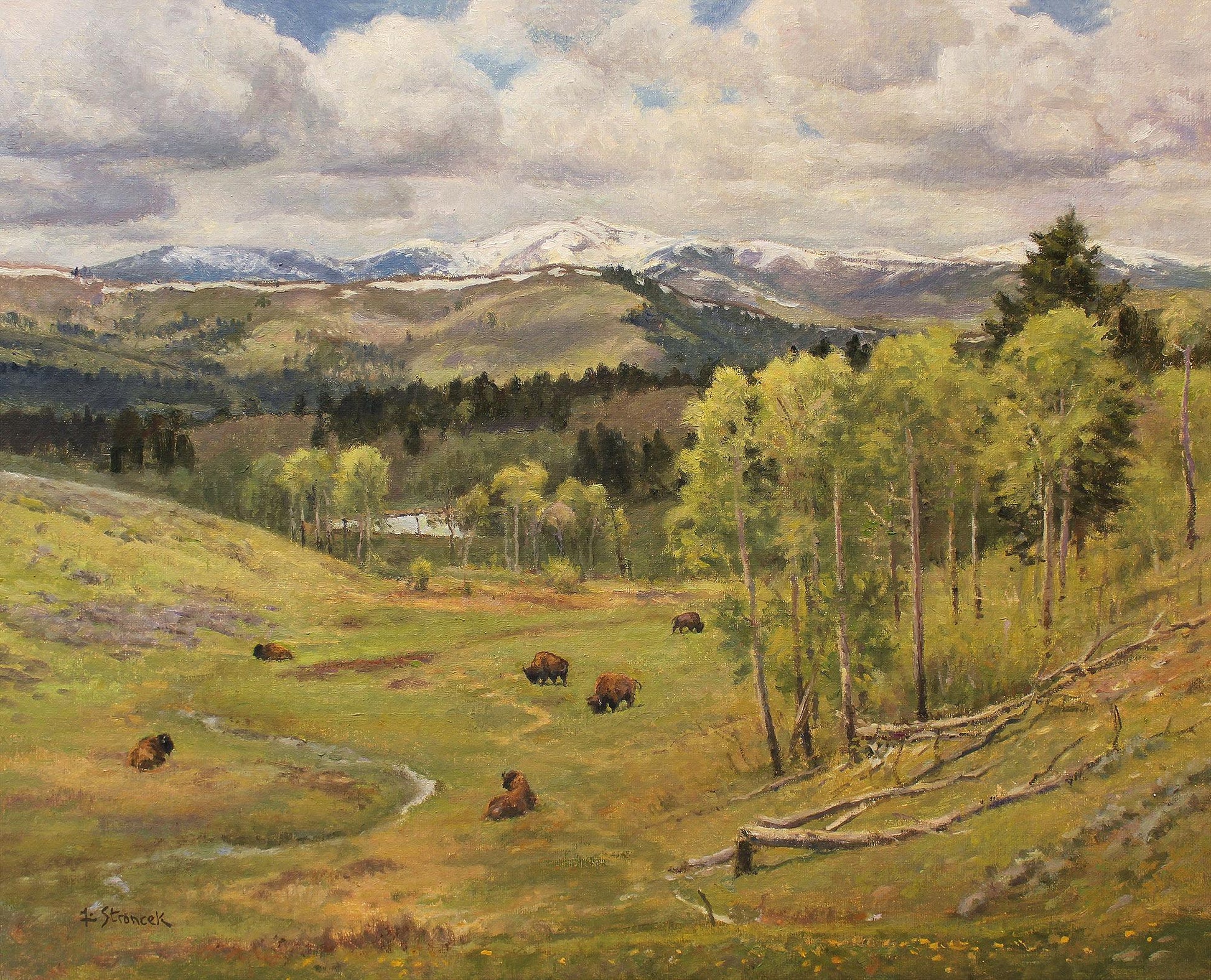 View From Grizzly Meadows-Bison Limited Edition Print - Wild Wings