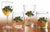 Vineyard Grapes Glassware Collection - Wild Wings