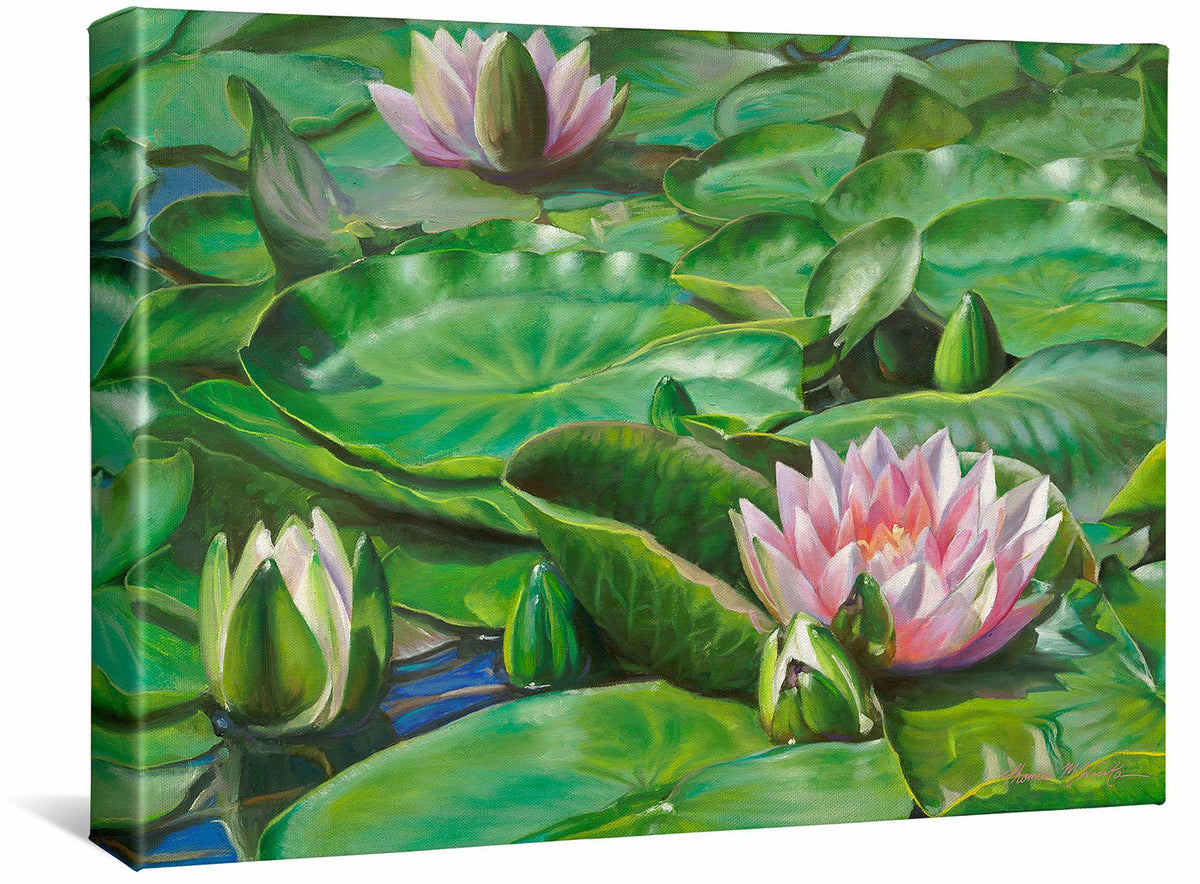 Water Lilies Gallery Wrapped Canvas - Wild Wings