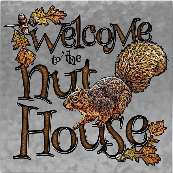 Welcome to the Nut House 10" x 10" Metal Box Art Sign - Wild Wings