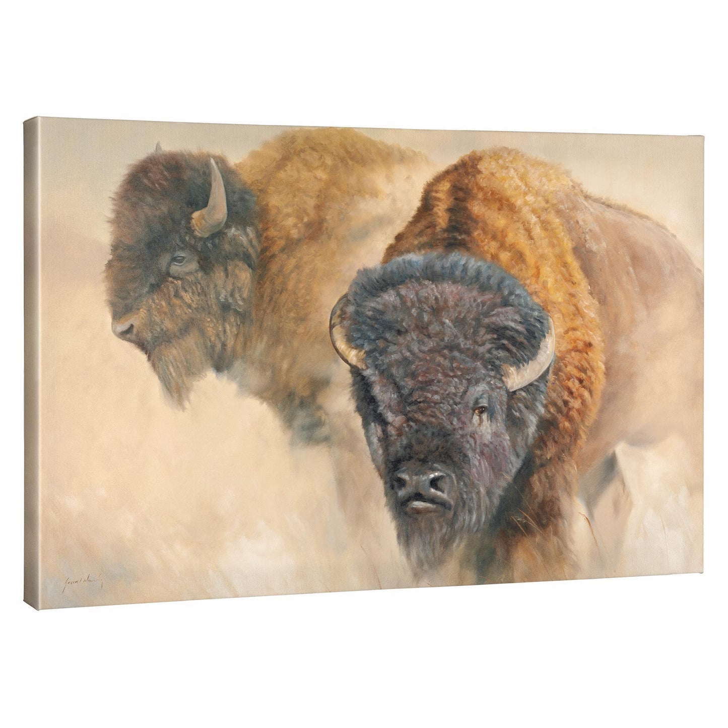 When the Dust Settles-Bison Gallery Wrapped Canvas - Wild Wings