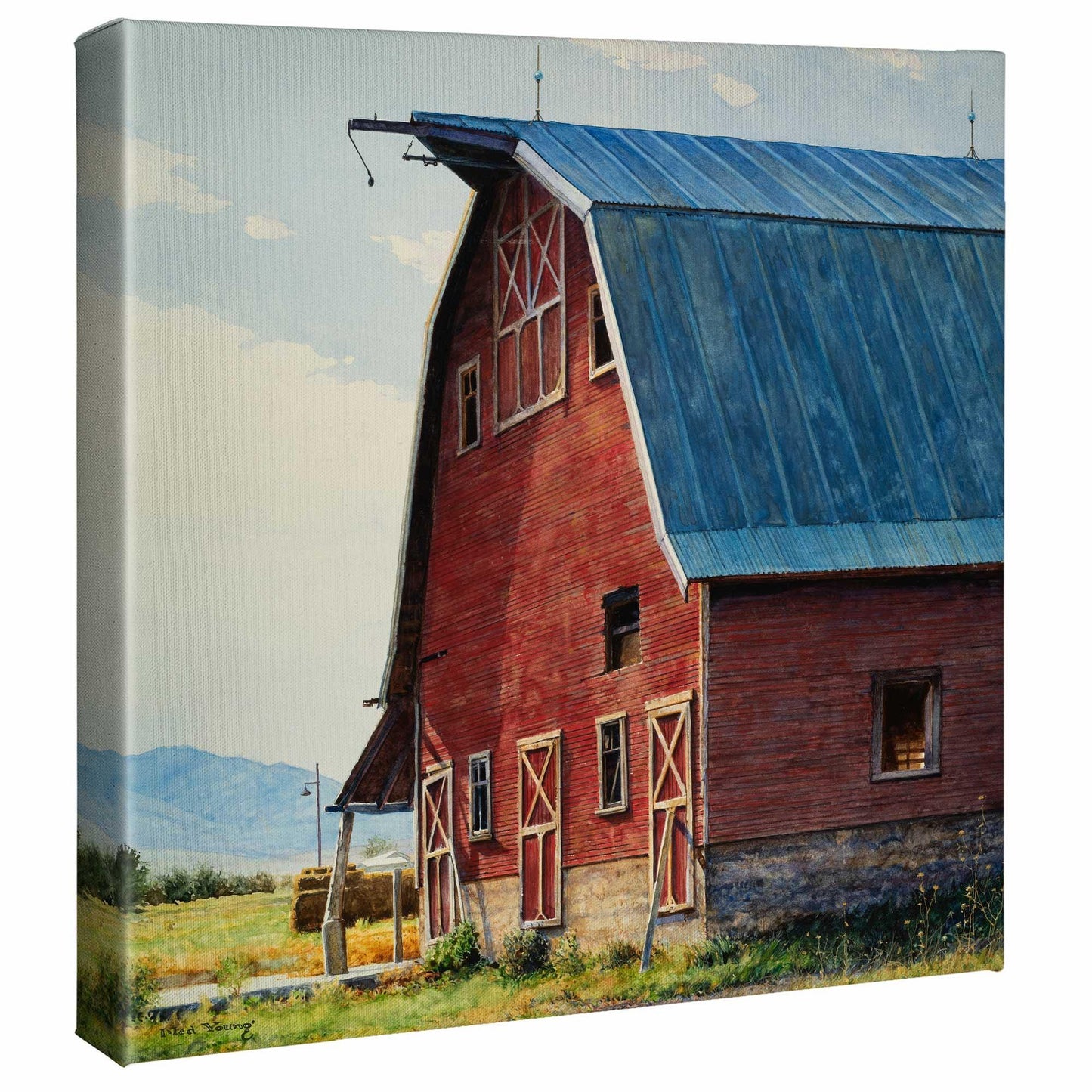 Where the Owl Sleeps Gallery Wrapped Canvas - Wild Wings
