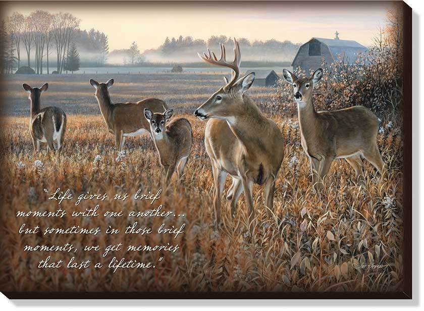 Meadow Magic—Whitetail Deer Art Collection - Wild Wings