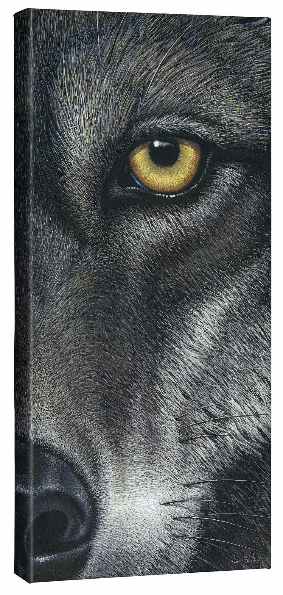 Who's Afraid?—Wolf Gallery Wrapped Canvas - Wild Wings