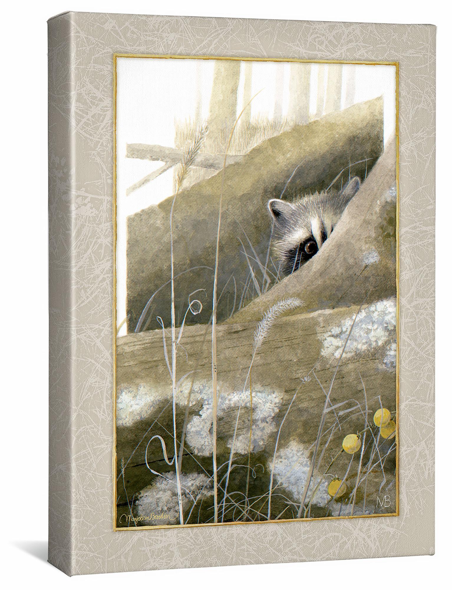 Hide and Seek—Raccoon Gallery Wrapped Canvas - Wild Wings