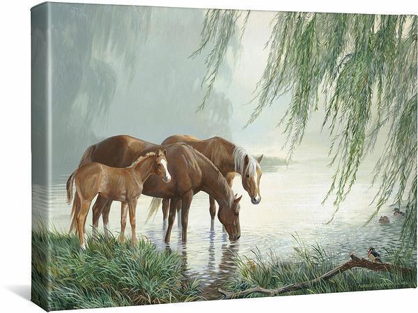 Willow Pond Gallery Wrapped Canvas - Wild Wings