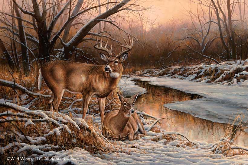 Winter Retreat-Whitetail Deer Original Acrylic Painting - Wild Wings