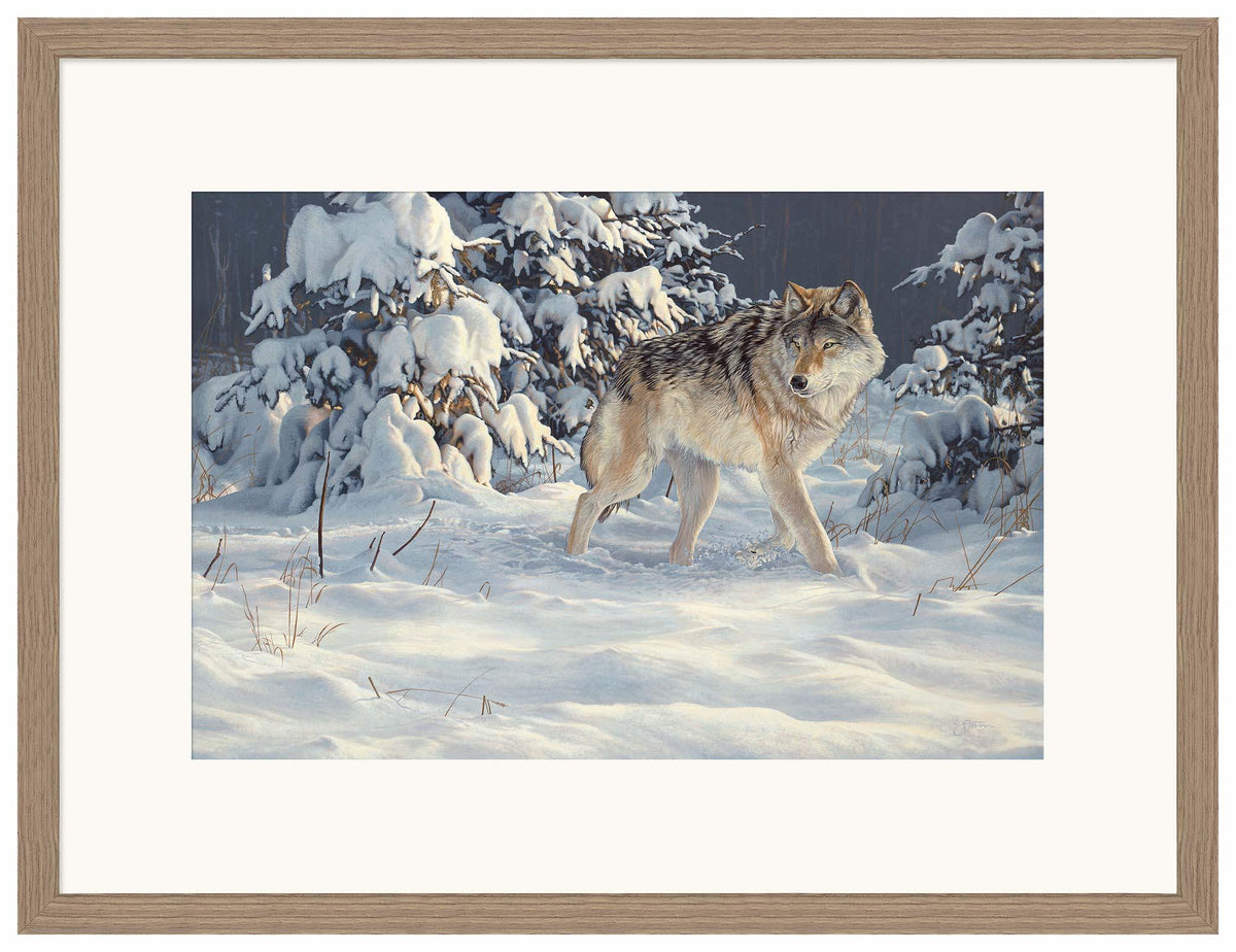 Winter Stroll — Gray Wolf Limited Edition Paper Print - Wild Wings