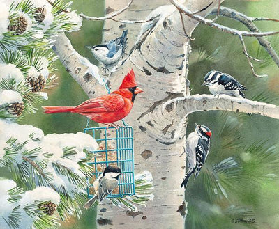 Winter Treat Original Watercolor Painting - Wild Wings