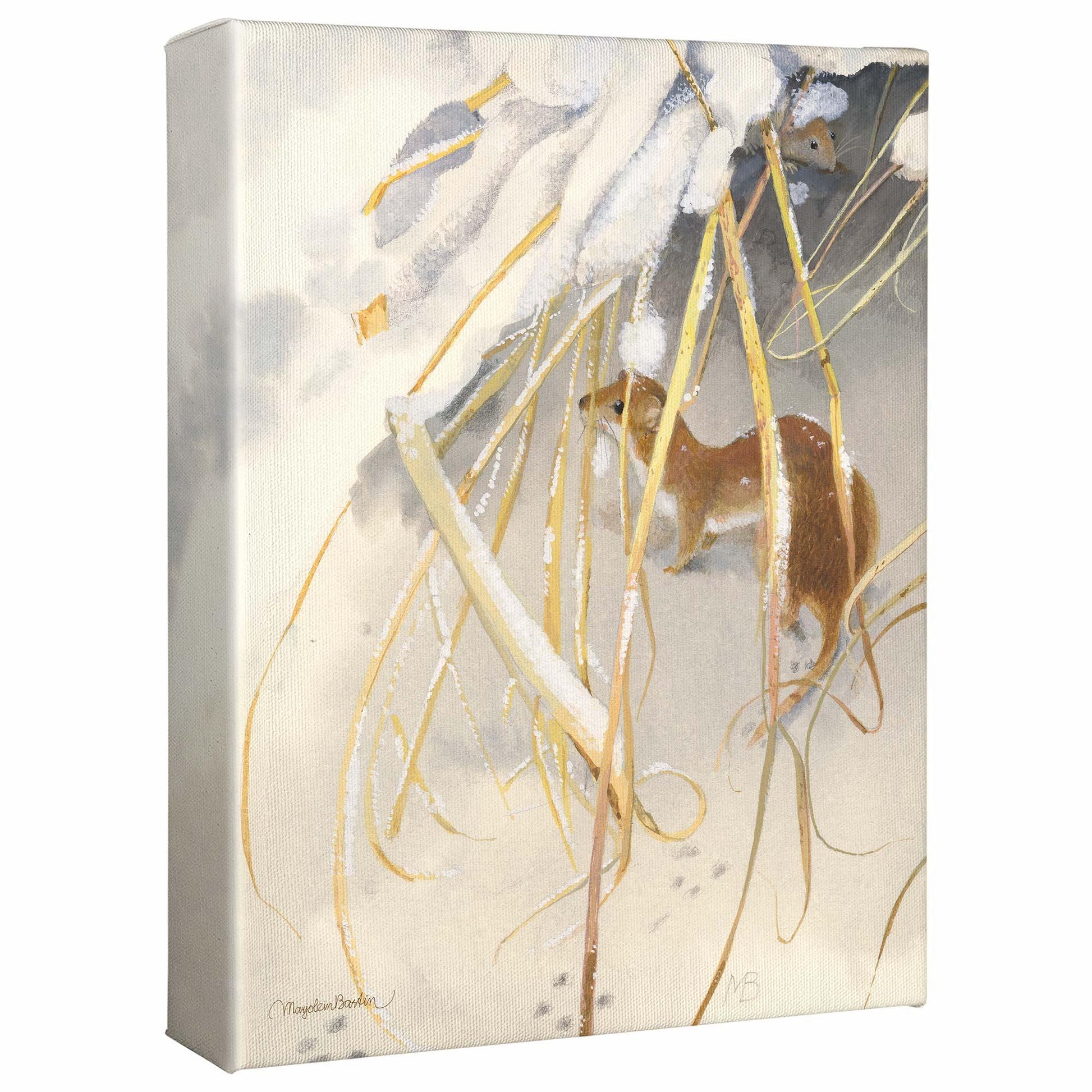 Wintry Weasel Gallery Wrapped Canvas - Wild Wings