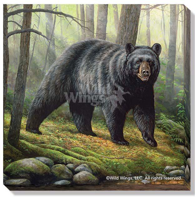 Woodland Morning—Black Bear Art Collection - Wild Wings