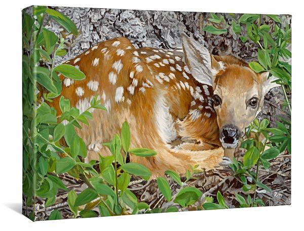 Woodland Wonder—Fawn Gallery Wrapped Canvas - Wild Wings