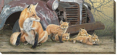 Rustic Retreat—Red Fox Art Collection - Wild Wings