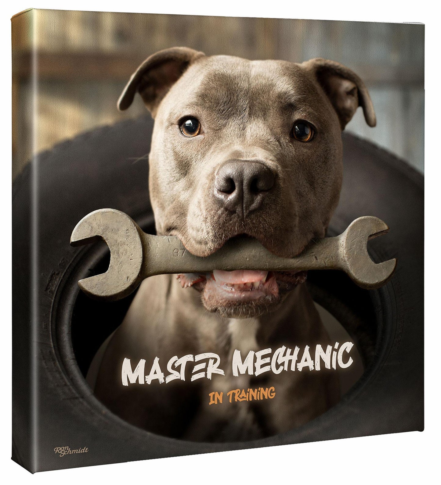 Wrench—Pitbull Terrier Gallery Wrapped Canvas - Wild Wings