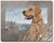 Great Bird Dogs—Yellow Lab Wrapped Canvas - Wild Wings