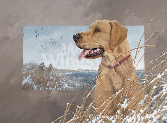 Great Bird Dogs-Yellow Lab Original Oil Painting - Wild Wings