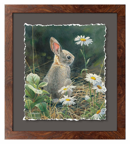 Young Cottontail Deckled Edge Paper Print - Wild Wings
